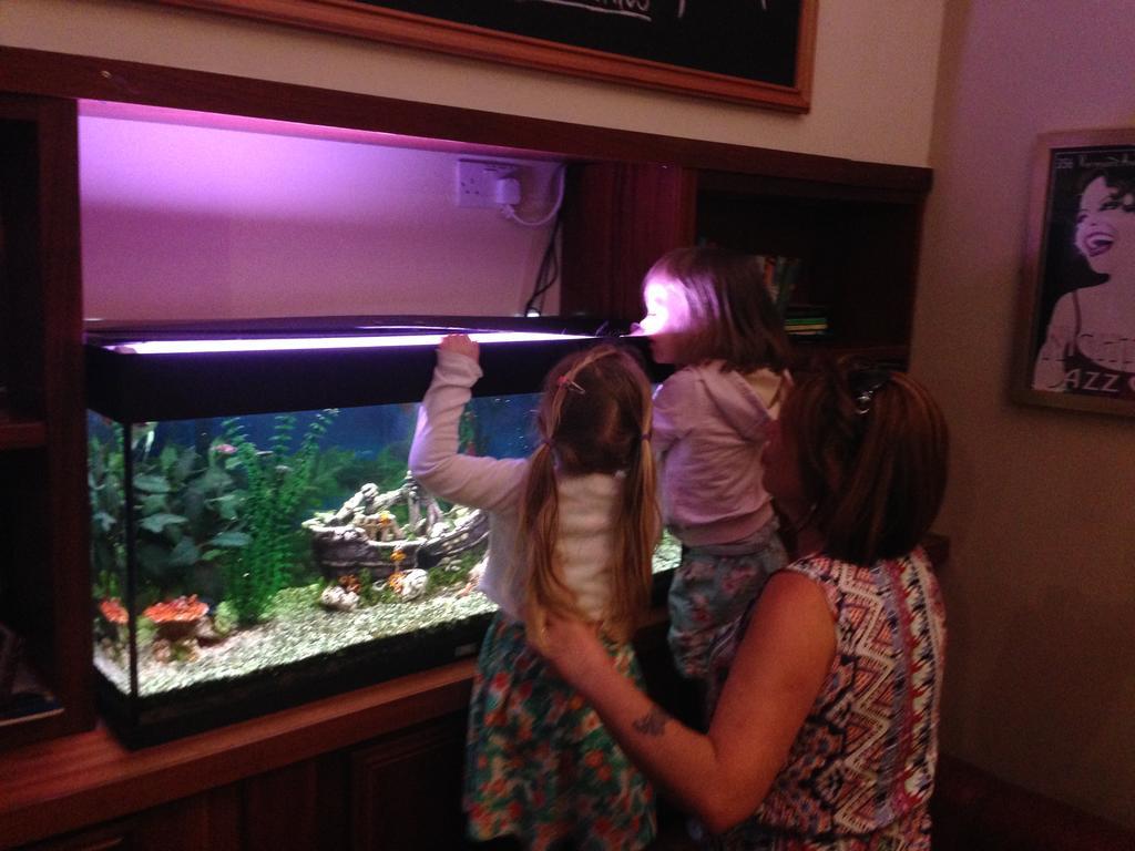 Leitrim Marina Hotel Carrick on Shannon 외부 사진